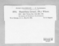 Image Associated With the Occurence